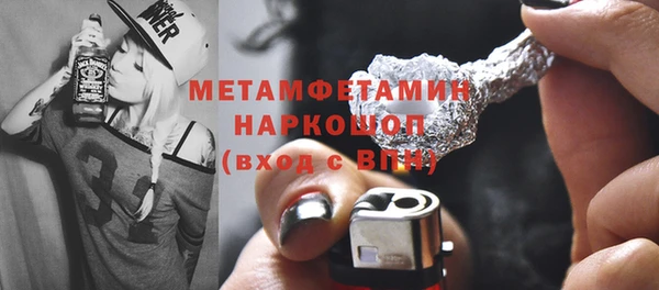 прущие грибы Медногорск