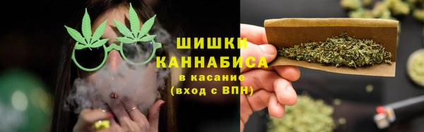 apvp Алексин