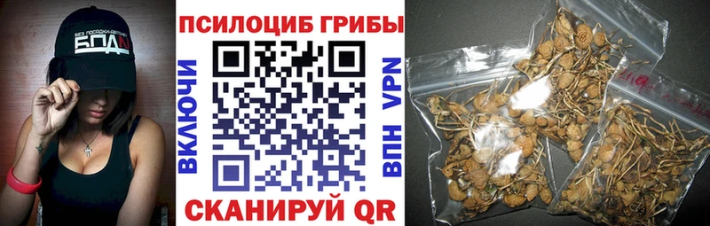 Галлюциногенные грибы мухоморы Ардатов