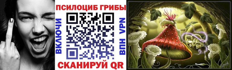 купить   Ардатов  Галлюциногенные грибы прущие грибы 